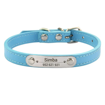 Lake blue colour cat dog collar with name