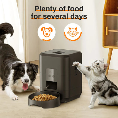 Smart feeder around dog cat