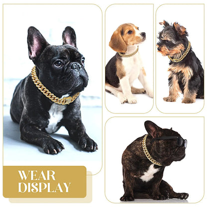 Wear display chain collar for dog